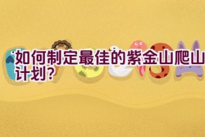 如何制定最佳的紫金山爬山计划？