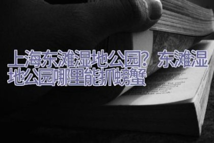 上海东滩湿地公园？东滩湿地公园哪里能抓螃蟹