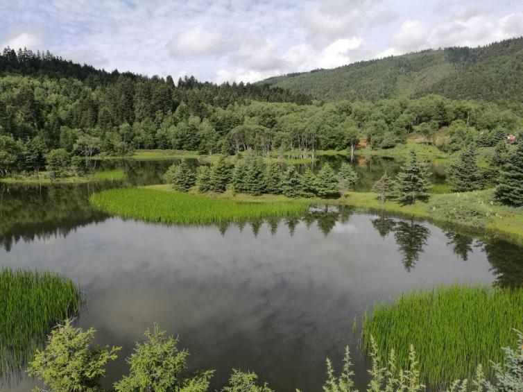 春节国内七条最为经典自驾游线路好玩推荐，春节何不来一次说走就走的自驾游？插图