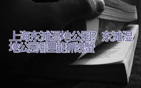 上海东滩湿地公园？东滩湿地公园哪里能抓螃蟹插图