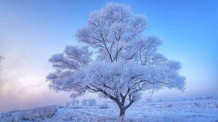 自驾去东北玩雪，趁着冬天还没结束赶紧去东北的这几个地方自驾游吧！插图