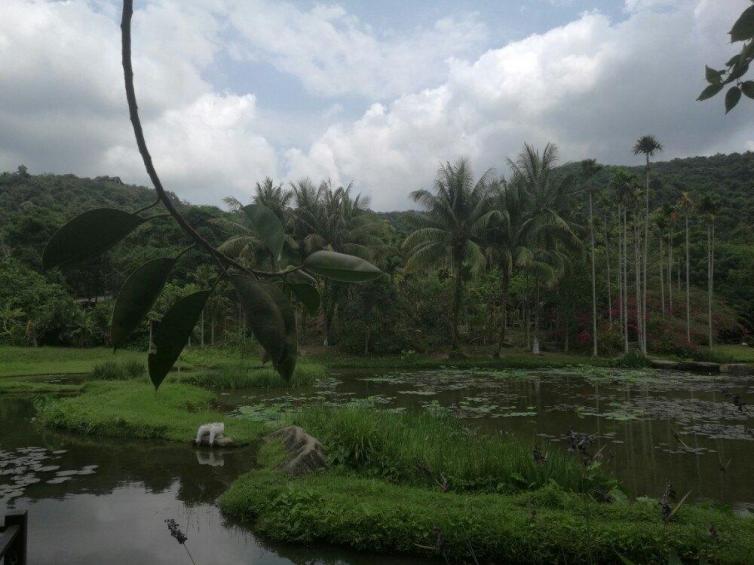 海南自驾游必去海岛推荐，海南周边颜值最高的好去处攻略插图3