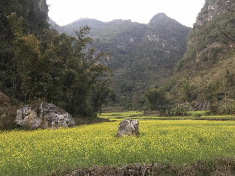 春节适合带全家一起去自驾游的好去处推荐，哪些景点值得一去？插图7