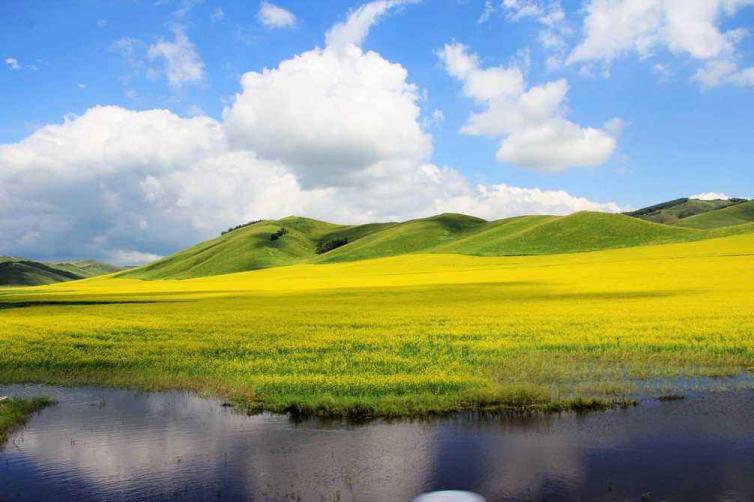 自驾花海赏花圣地自驾路线图攻略，带你寻找心中那片最美花海插图16