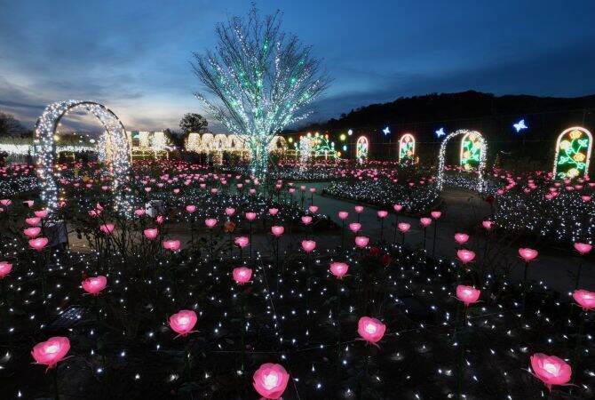 选择北海道跟团游，需要的费用是多少呢？插图