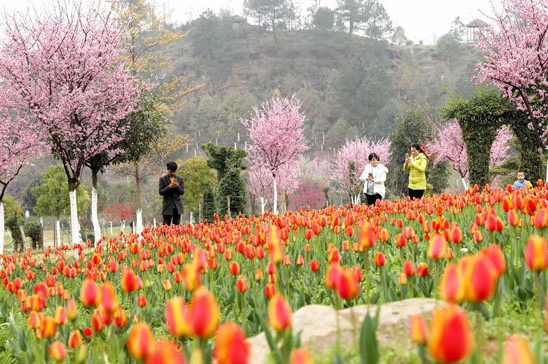 贵州春季旅游攻略，8大主题41条线路插图5