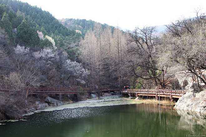 北京清明节周边自驾游最强攻略，10个北京市内能看花、露营、划船的自驾游好去处插图9