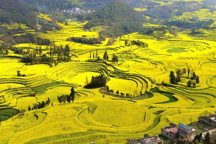 自驾花海赏花圣地自驾路线图攻略，带你寻找心中那片最美花海插图3