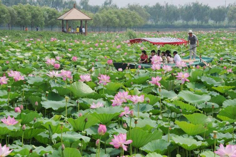 端午节10个最适合北京周边自驾游线路／景点／美食游玩攻略，北京周边短途自驾游去哪儿好玩插图