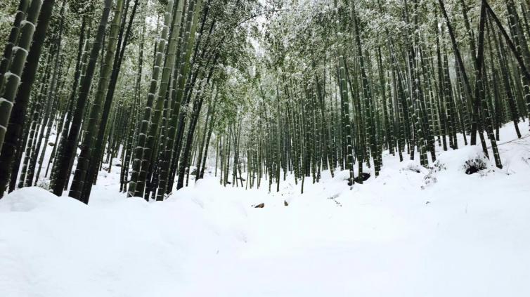 冬天国内自驾游最吸引人的的8个目的地推荐，国内这些小众美景值得一去插图8