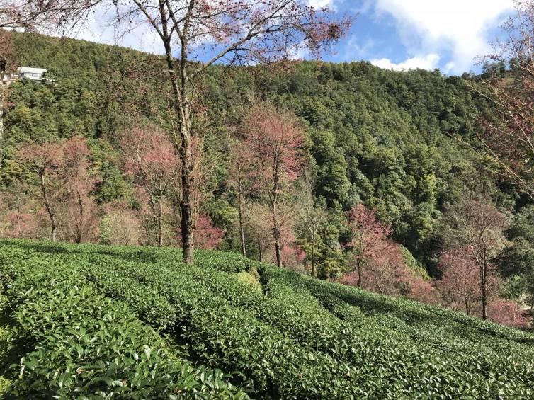 十一月国内最适合自驾游的好去处推荐，国内的初冬美景都在这里插图9