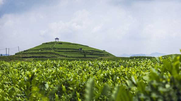 贵州春季旅游攻略，8大主题41条线路插图11