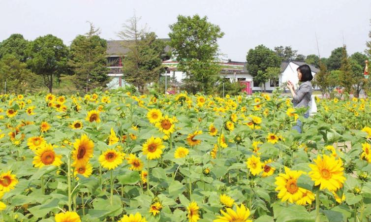 五一西安自驾游去哪儿好玩，14个西安周边人少美景美食自驾游景点线路攻略插图4