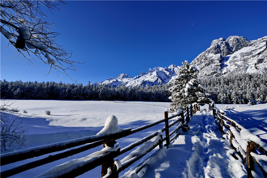 玉龙雪山怎么玩？玉龙雪山攻略来袭插图2