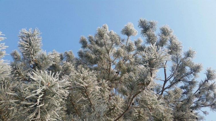 冬天国内自驾游最吸引人的的8个目的地推荐，国内这些小众美景值得一去插图1