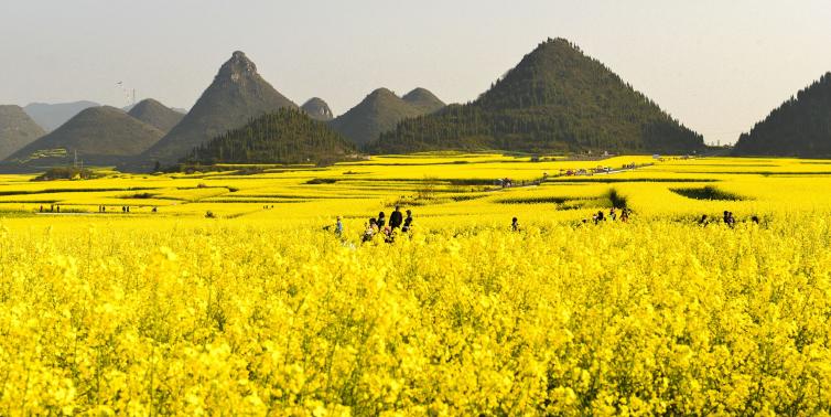 自驾花海赏花圣地自驾路线图攻略，带你寻找心中那片最美花海插图2