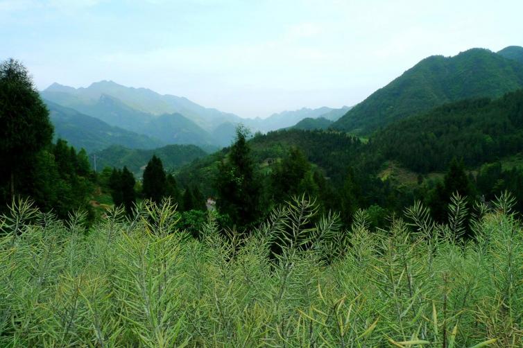 陕西周边自驾游最佳景点推荐，陕西周边自驾游特色美食介绍插图1