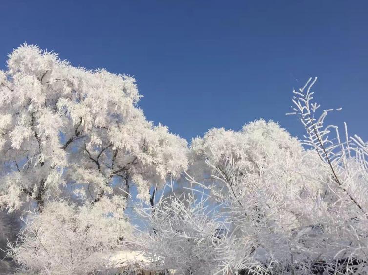 春节国内自驾游最受欢迎的8个地方推荐，春节自驾游去哪好玩插图9