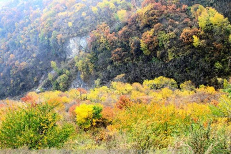 北京门头沟自驾游线路攻略，欣赏秋景最美的地方插图