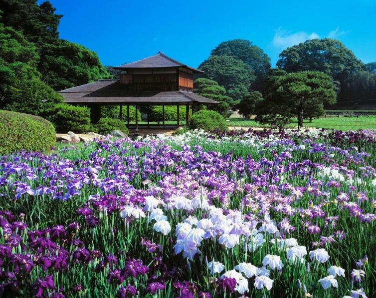 自驾花海赏花圣地自驾路线图攻略，带你寻找心中那片最美花海插图12