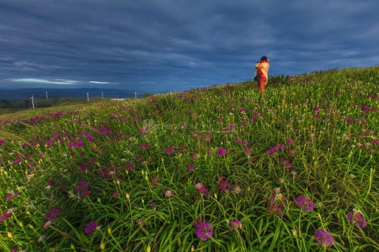 自驾花海赏花圣地自驾路线图攻略，带你寻找心中那片最美花海插图18