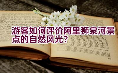 游客如何评价阿里狮泉河景点的自然风光？