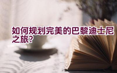 “如何规划完美的巴黎迪士尼之旅？”