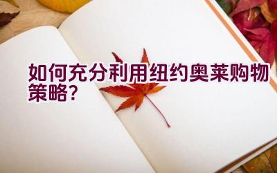 如何充分利用纽约奥莱购物策略？插图